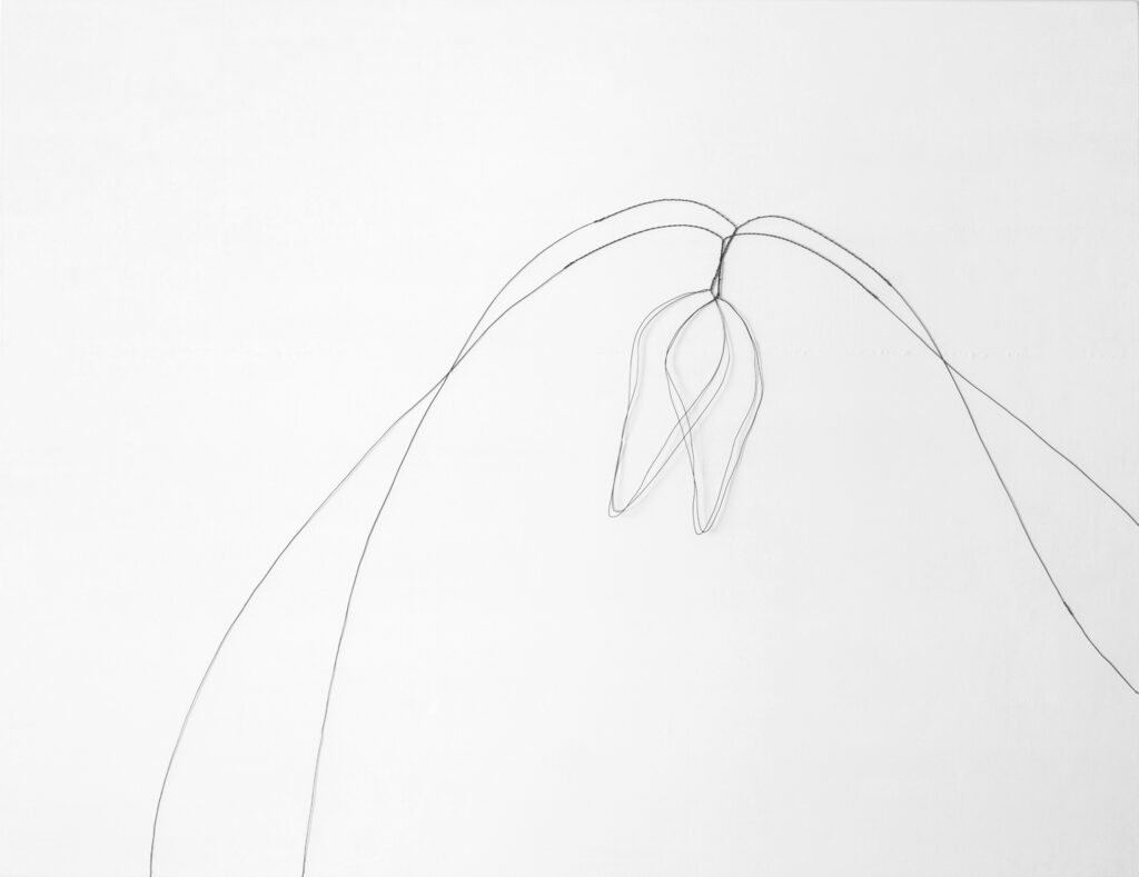 DSC_3701-bearbeitet3-Web2SW