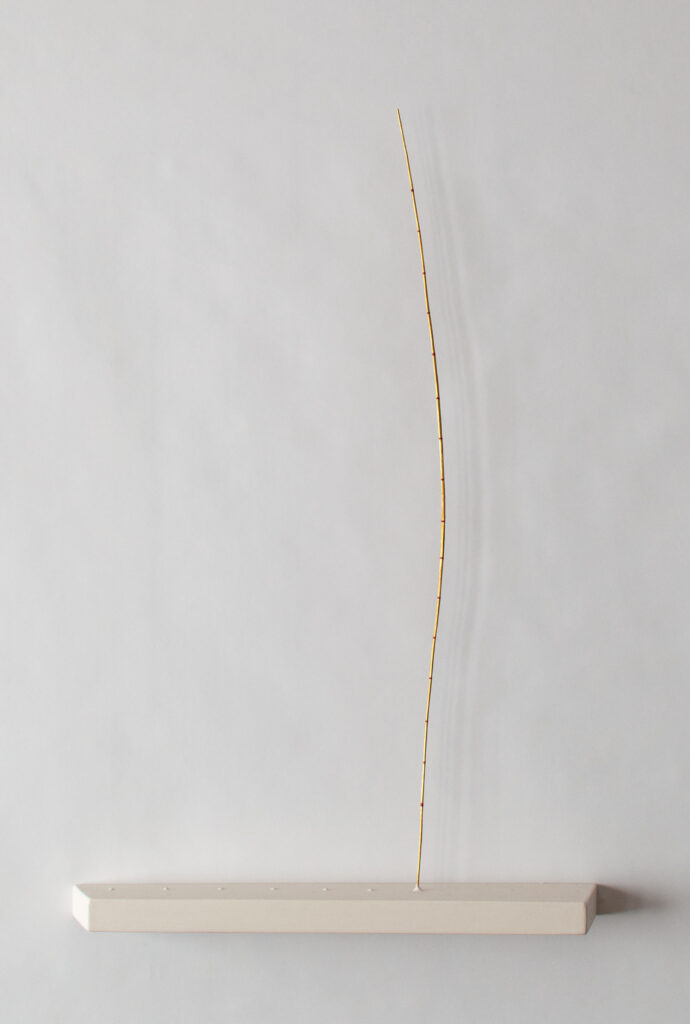 DSC_3663 bearbeitet 1